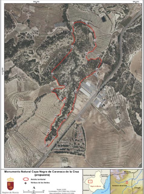 La 'Capa Negra' de Caravaca consigue ser el cuarto lugar de la Región de Murcia declarado Monumento Natural - 3, Foto 3