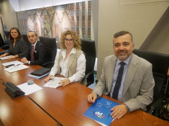 Albaladejo: A pesar de la infrafinanciación con la que Sánchez nos castiga, el Gobierno de López Miras garantiza un uso eficiente y transparente de los recursos públicos - 1, Foto 1