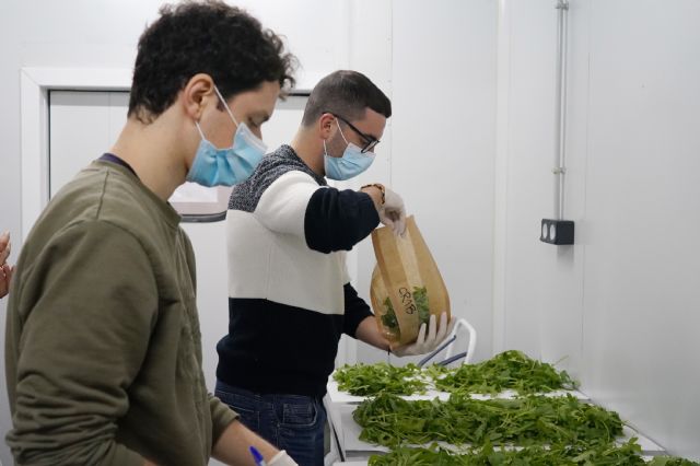 Mejoran la calidad del hinojo marino y la rúcula reutilizando agua, nutrientes y residuos agroindustriales - 3, Foto 3