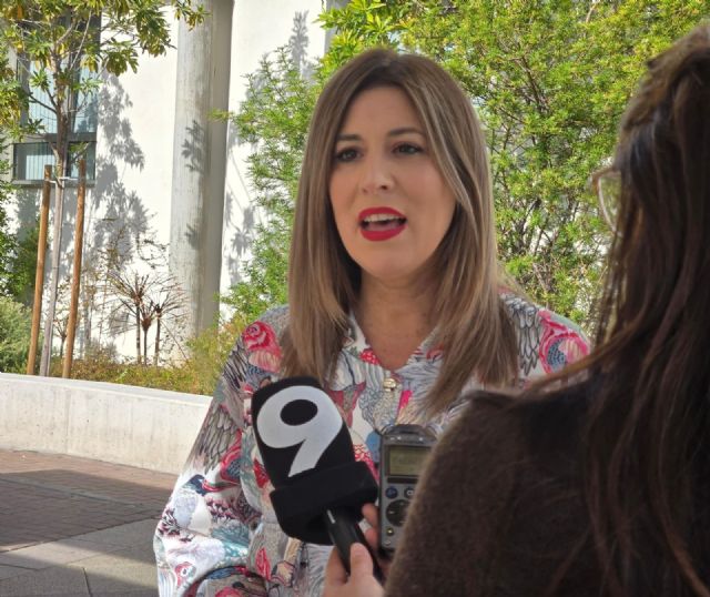 Gadea denuncia los presupuestos de PP y Vox: Más impuestos y más deuda para pagar su tele y su propaganda - 1, Foto 1