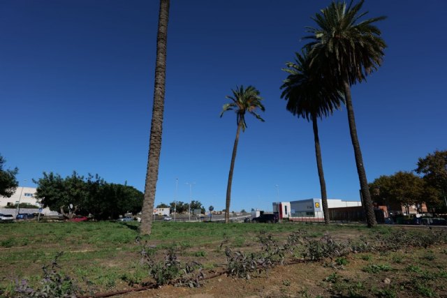 El Ayuntamiento acomete nuevas mejoras de riego y plantas en la rotonda de 1900 - 1, Foto 1