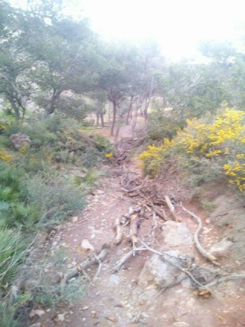 CTSSP denuncia que sigue sin solucionarse el problema del acceso al monte Roldán - 2, Foto 2
