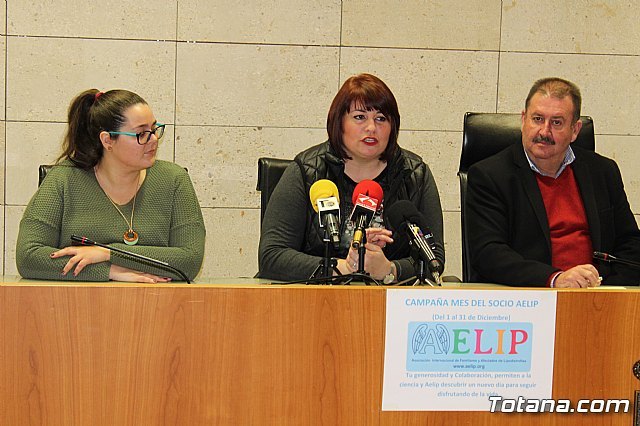 AELIP presenta la renovación de su página web que ha sido desarrollada por Superweb y Totana.com, Foto 3