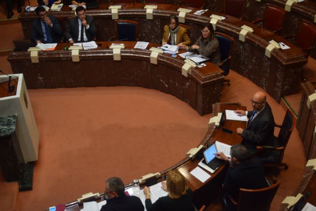 El PP subraya el aumento del presupuesto de Familia en todas las prestaciones dirigidas a  atender a los más vulnerables - 2, Foto 2