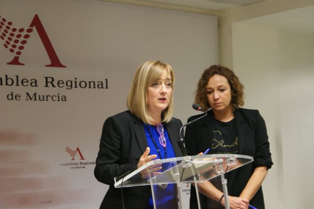 El PSOE reclama una política social con mayúsculas y con los presupuestos del Gobierno regional para 2018 no será posible - 1, Foto 1