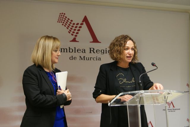 El PSOE reclama una política social con mayúsculas y con los presupuestos del Gobierno regional para 2018 no será posible - 2, Foto 2