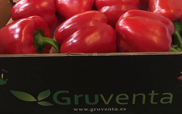 Gruventa afronta la campaña hortofrutícola de invierno con una extraordinaria proyección internacional - 2, Foto 2