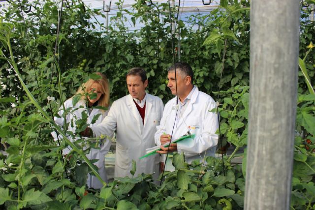 Otorgados los I Premios de la Cátedra Cajamar-UPM de Economía y Política Agraria a los mejores Trabajos Fin de Máster - 1, Foto 1