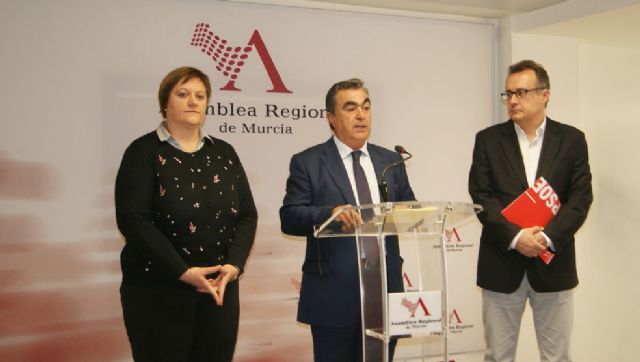 El PSOE califica de precarios y continuistas los presupuestos de 2019 de la Consejería de Agua, Agricultura, Ganadería y Pesca - 1, Foto 1