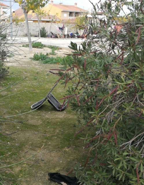 CIUDADANOS denuncia que el PP incumple su compromiso de arreglo del jardín de Cristóbal Colon - 2, Foto 2