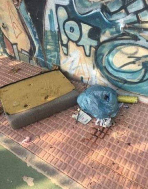 CIUDADANOS denuncia que el PP incumple su compromiso de arreglo del jardín de Cristóbal Colon - 3, Foto 3