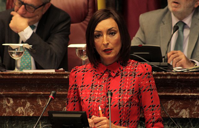 Ciudadanos pide la promoción audiovisual del comercio minorista regional de cara a la campaña navideña - 2, Foto 2