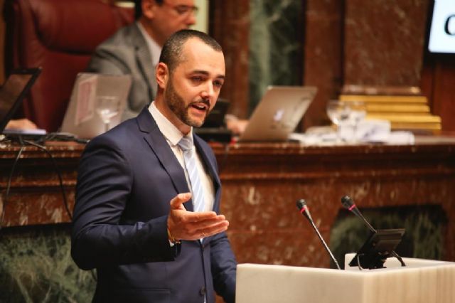 La Asamblea exige, a instancias del PP, el proyecto de descontaminación de los terrenos de Zinsa a su propietario - 1, Foto 1
