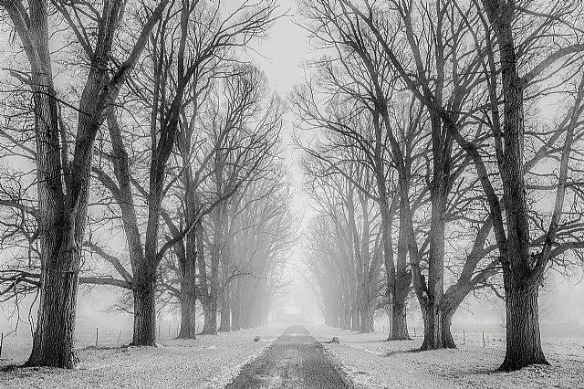 El frío dispara las averías en carretera y el riesgo de accidente. Cómo evitarlo - 1, Foto 1