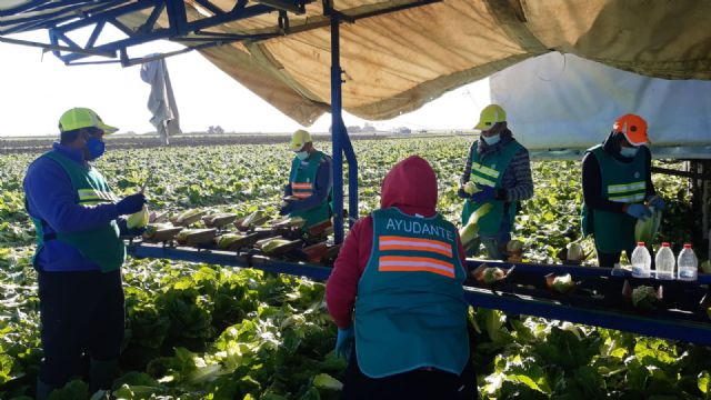 Proexport: Un 97% de los trabajadores agrarios elige trabajar en el día de huelga convocado por CCOO y UGT, Foto 2