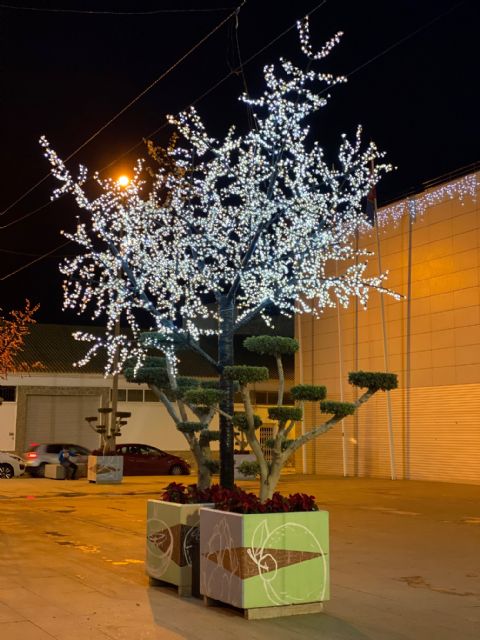 Torre Pacheco ilumina la Navidad - 1, Foto 1