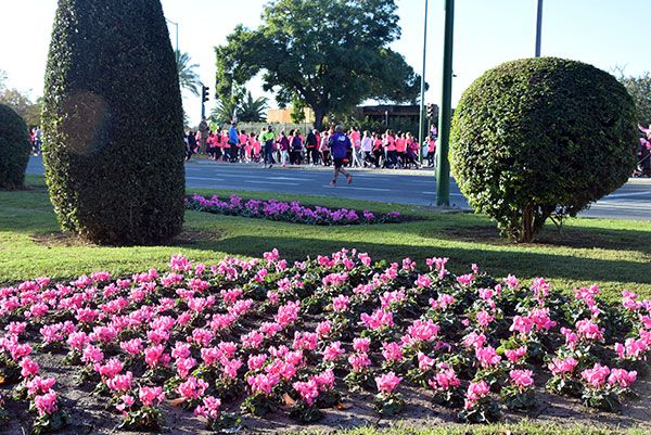El décimo cuarta edición de la Carrera de la mujer en Sevilla, que volverá a celebrarse en el Parque de María Luisa hispalense - 2, Foto 2