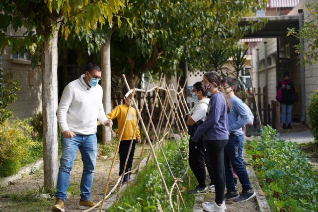 Educación amplía el número de centros que participan este curso en el programa 'Huertos escolares' - 1, Foto 1