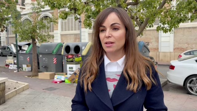 El PP propone la puesta en marcha de una campaña especial de limpieza para las fiestas navideñas - 1, Foto 1