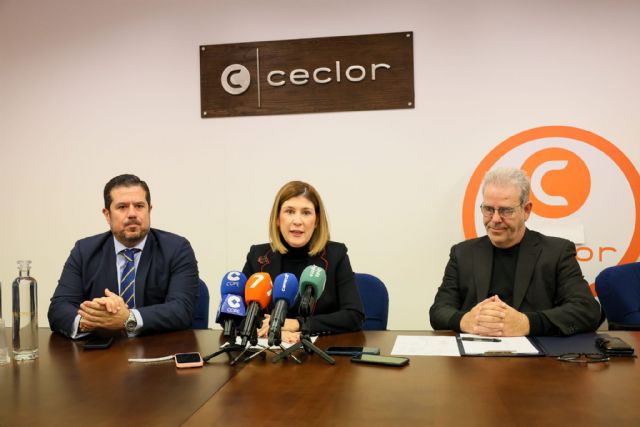 Ponen en marcha un estudio para optimizar la generación de empleo - 2, Foto 2