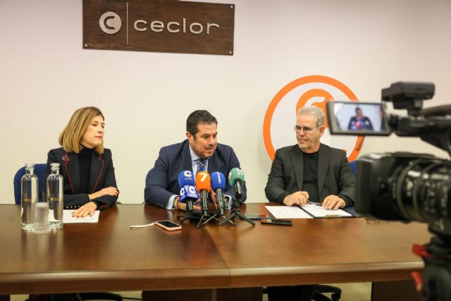 Ponen en marcha un estudio para optimizar la generación de empleo - 5, Foto 5