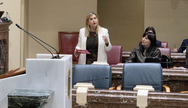 Carmina Fernández: El consejero de Salud debe asumir responsabilidades y dimitir inmediatamente por no garantizar la seguridad en el Santa Lucía - 1, Foto 1
