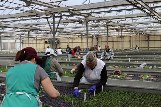 El número de parados en Puerto Lumbreras desciende hasta las 504 personas y alcanza la menor tasa de desempleo desde julio de 2007 - 1, Foto 1