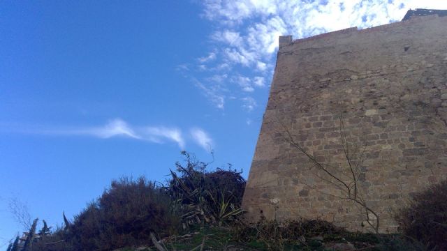 Cultura y Patrimonio limpia de vegetacion el baluarte 24 de la Muralla Carlos III - 1, Foto 1