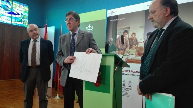 Los casos de gripe se triplican y generan una afluencia diaria de más 3.000 personas en las urgencias de los hospitales - 1, Foto 1