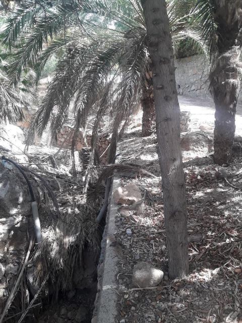 MC: Arroyo, Castejón y Padín, los Reyes Magos de las concesionarias: les ´regalan´ más de 6 millones de euros en 2021 - 2, Foto 2