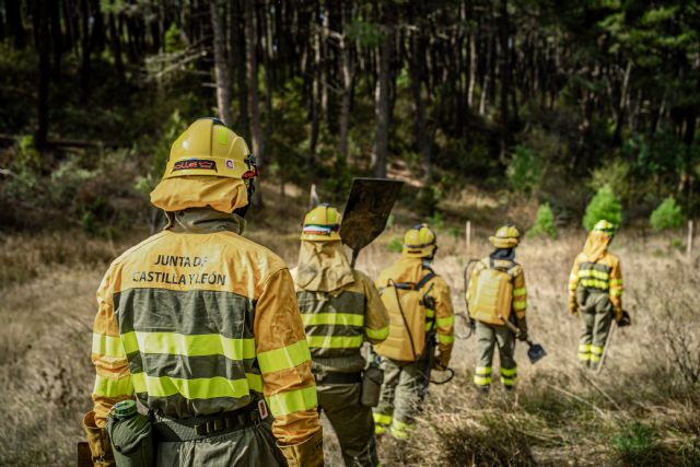 Por qué es necesario gestionar los bosques: motivos ecológicos, económicos y de salud pública - 3, Foto 3