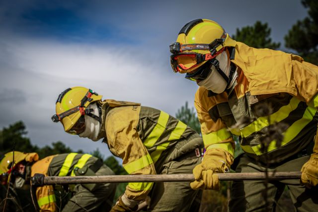 Por qué es necesario gestionar los bosques: motivos ecológicos, económicos y de salud pública - 4, Foto 4