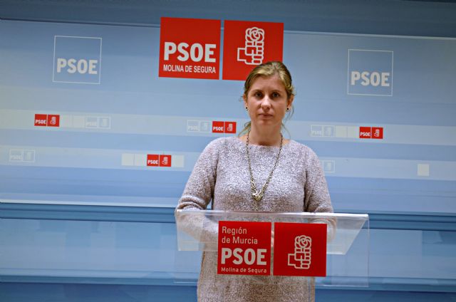 El PSOE presenta sus propuestas al nuevo Reglamento del Consejo Municipal de Deportes - 1, Foto 1