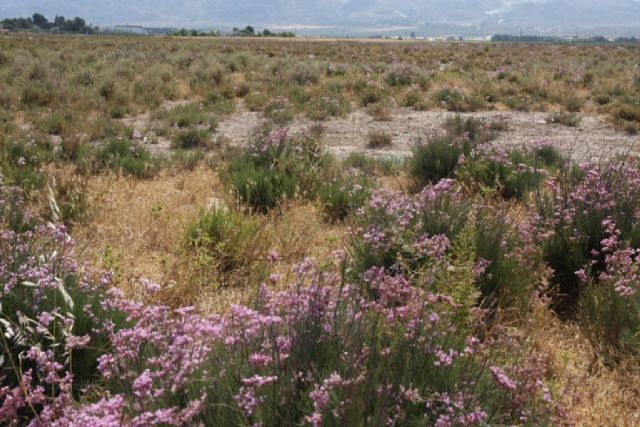 Renovado el convenio de Custodia del Territorio con ACUDE, Foto 3
