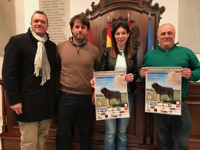Lorca acogerá el II Campeonato Monográfico de Mastín Español en el que participarán más de medio centenar de ejemplares de toda España - 1, Foto 1