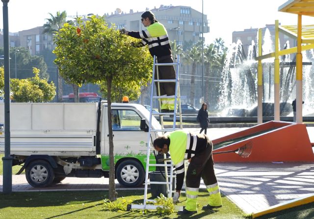 Los barrios y pedanías ganan 88 nuevos jardines y Murcia supera los 4 millones de m2 de zonas verdes - 2, Foto 2