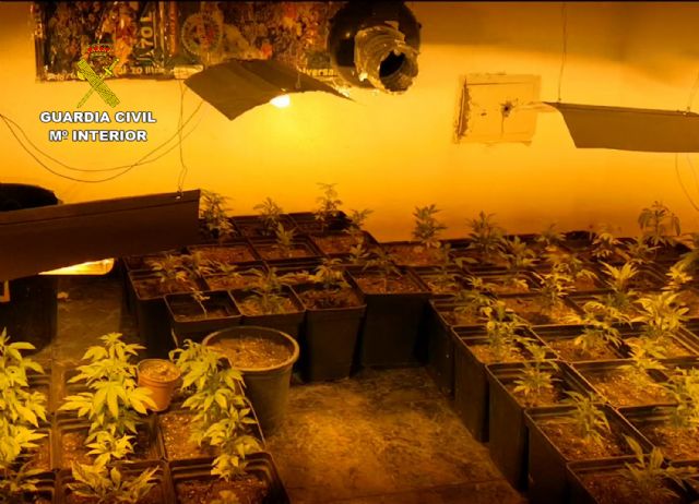 La Guardia Civil desmantela un punto de producción y distribución de marihuana en Murcia - 3, Foto 3