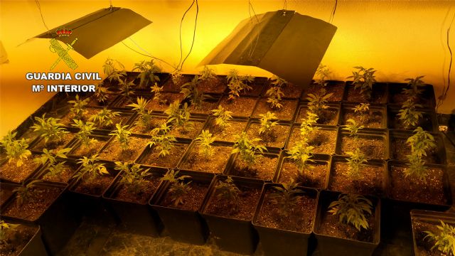 La Guardia Civil desmantela un punto de producción y distribución de marihuana en Murcia - 4, Foto 4