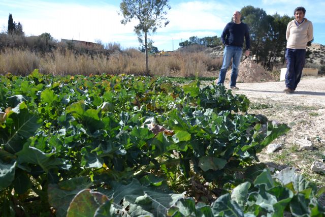 16 vecinos se benefician ya de los Huertos Urbanos y el Banco de Tierras - 1, Foto 1