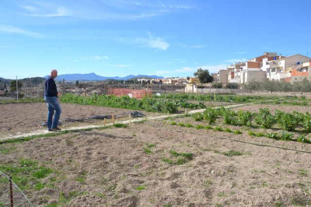 16 vecinos se benefician ya de los Huertos Urbanos y el Banco de Tierras - 2, Foto 2