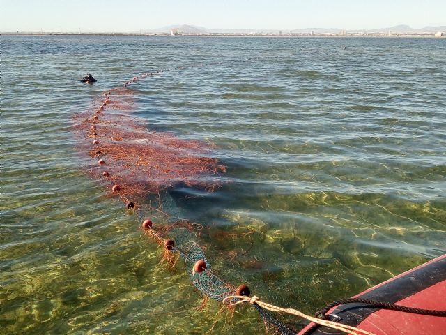 ANSE denuncia nueva pesca ilegal en el Parque Regional Salinas de San Pedro y documenta la aparición de “baba” en el Mar Menor. - 3, Foto 3
