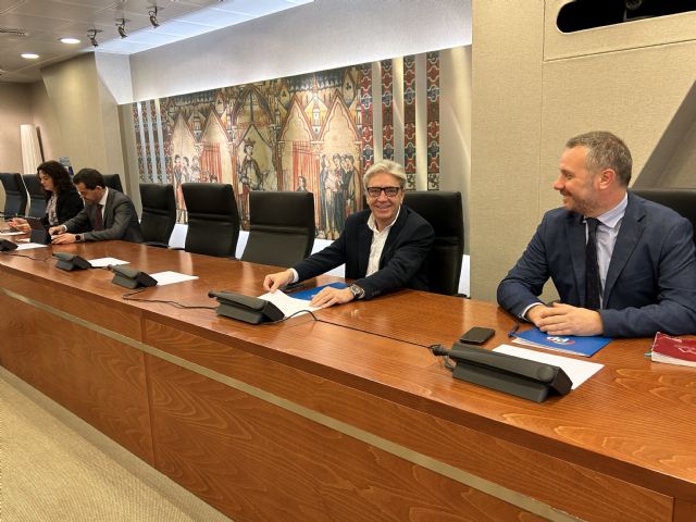 La Comisión Especial de Estudio sobre Infancia y Adolescencia se constituirá el próximo lunes - 3, Foto 3