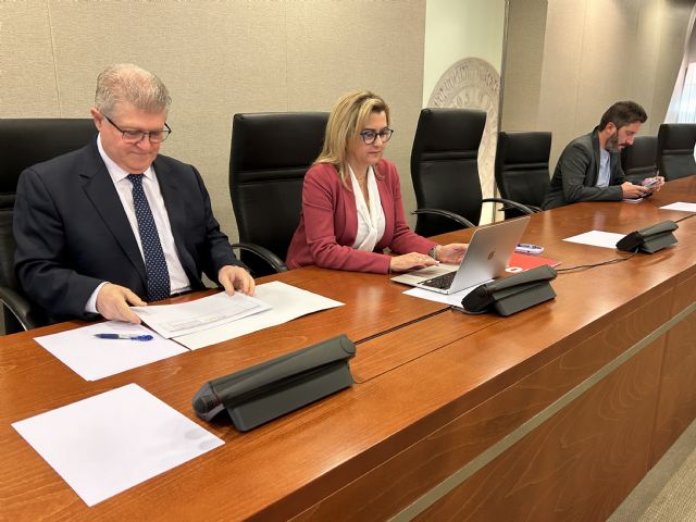 La Comisión Especial de Estudio sobre Infancia y Adolescencia se constituirá el próximo lunes - 4, Foto 4