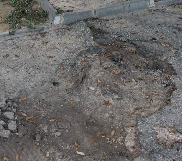 El PP incumple su compromiso con las pedanías: casi dos años de espera y sin contrato de mantenimiento de vía pública - 3, Foto 3