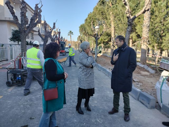El Palmar cuenta con una acera más accesible y segura en la calle Artemisa - 1, Foto 1