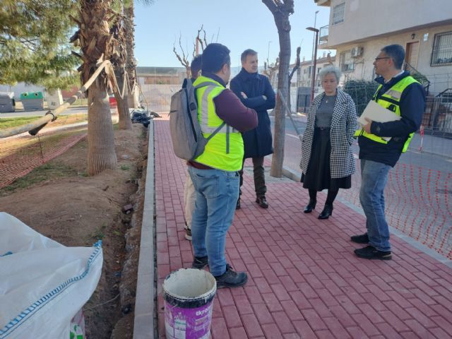 El Palmar cuenta con una acera más accesible y segura en la calle Artemisa - 2, Foto 2