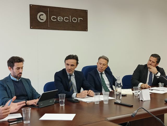 Una subvención de la Comunidad para regenerar el casco histórico de Lorca posibilitará incrementar la oferta de vivienda - 2, Foto 2