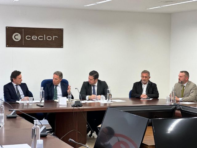 El Gobierno de Lorca refuerza su apuesta para solucionar los problemas de vivienda y aboga por la mejora urbanística del casco histórico - 1, Foto 1