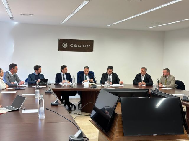 El Gobierno de Lorca refuerza su apuesta para solucionar los problemas de vivienda y aboga por la mejora urbanística del casco histórico - 2, Foto 2