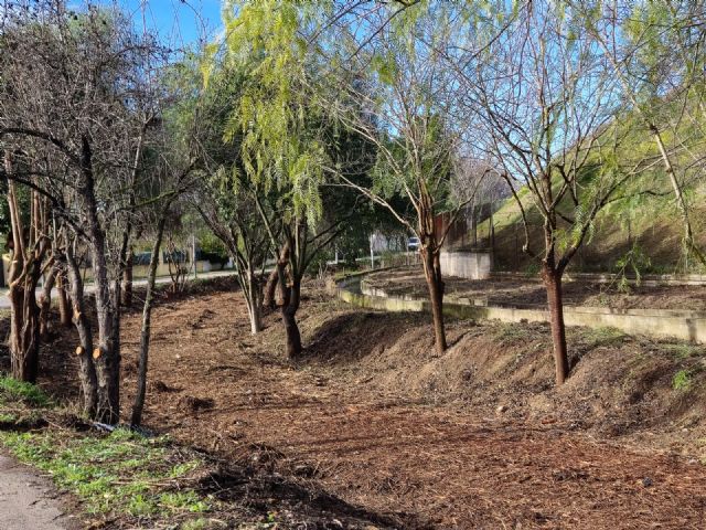 Comienzan las obras de la Senda Verde en el Riacho de la Morda acondicionando los caminos para el disfrute de los peatones - 3, Foto 3